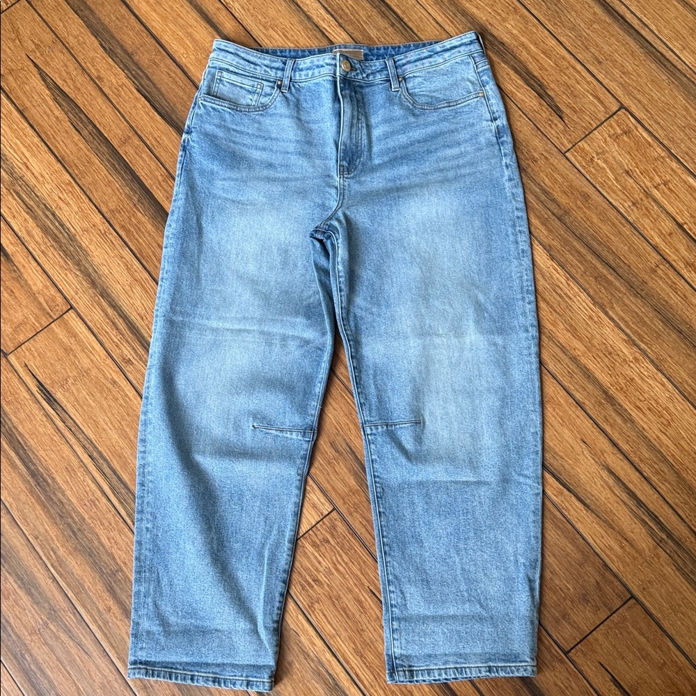 New Kut from the Kloth Sz 14 Evereve Ashley Slouchy Barrel Jeans